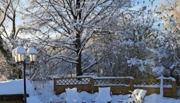 Weihnachtszauber im Garten
