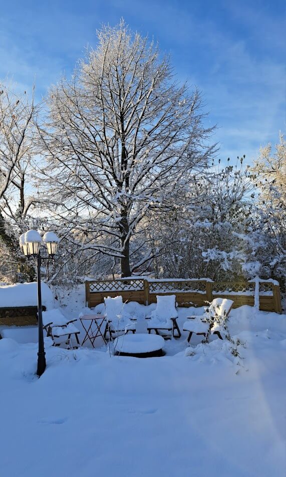 Weihnachtszauber im Garten