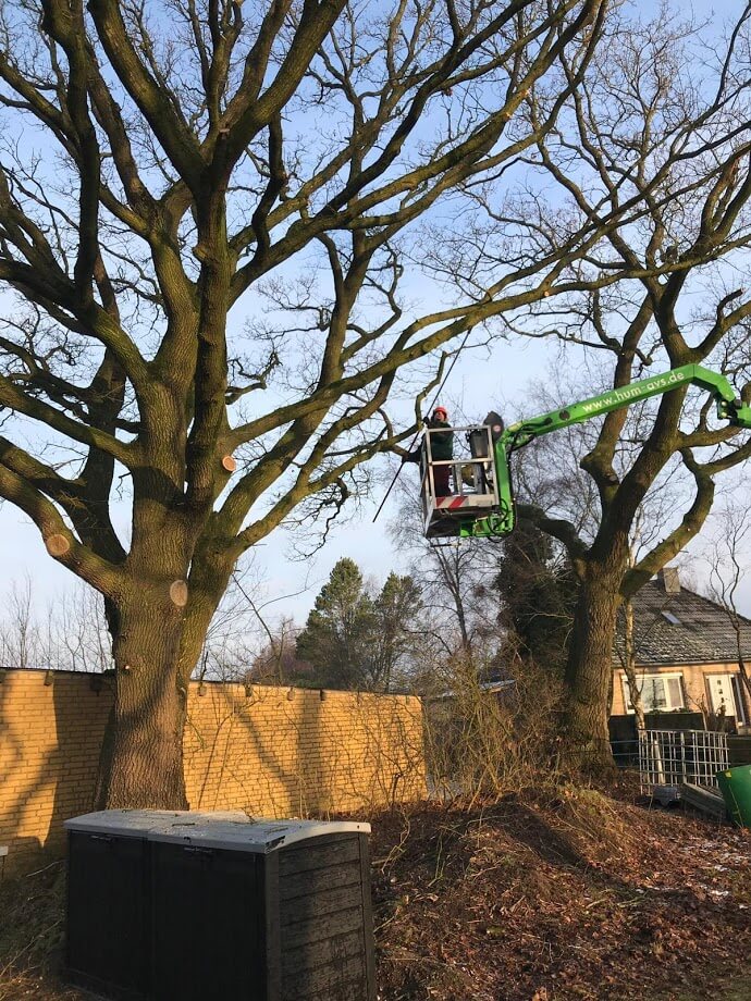 Baumarbeiten durch Fachkräfte