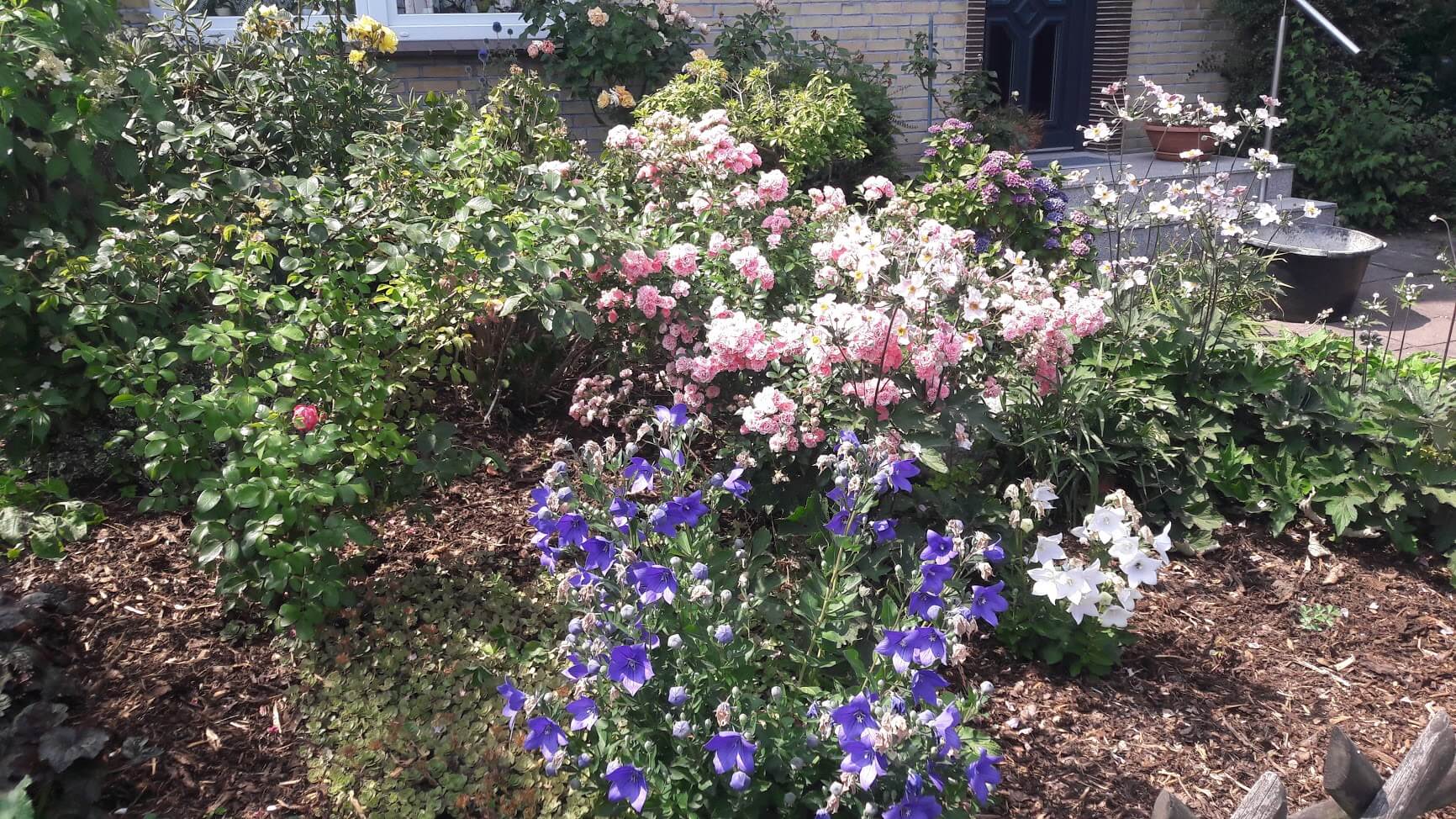 Gartengestaltung Wiesbaden