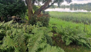 Gartengestaltung im Norden