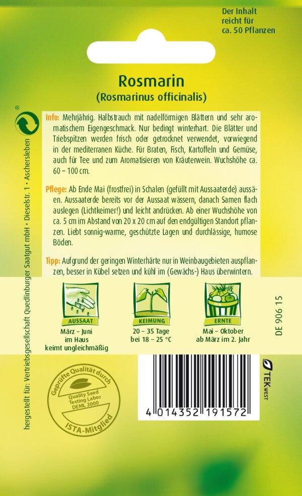 Rosmarin – Bild 2