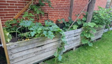 Hochbeet