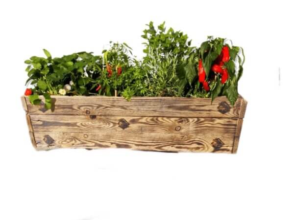 Balkon Hochbeet aus Holz – Mit Stunz logo