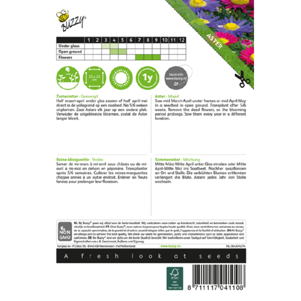 Sommeraster - Mischung – Bild 2