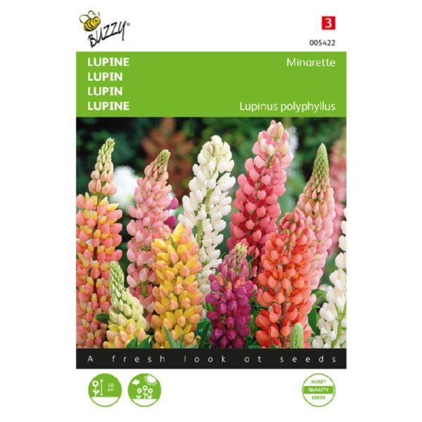 Lupine niedrige Minarette